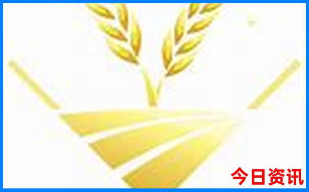 贵州哪里凉快风景又好